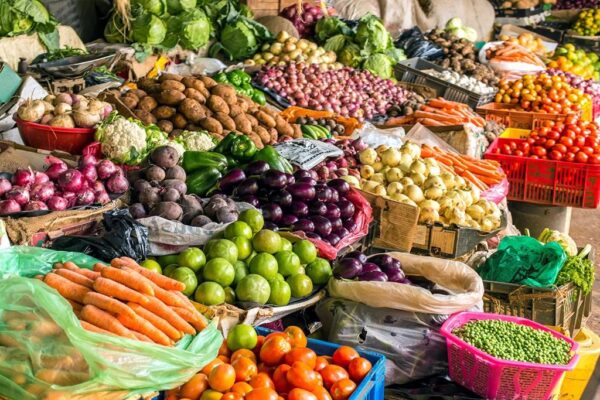 Crédito desajustado penaliza agro-negócio