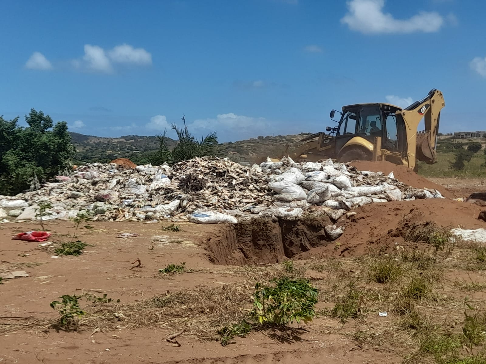 DETERIORADOS PELAS INUNDAÇÕES: Produtos alimentares enterrados em Xai-Xai