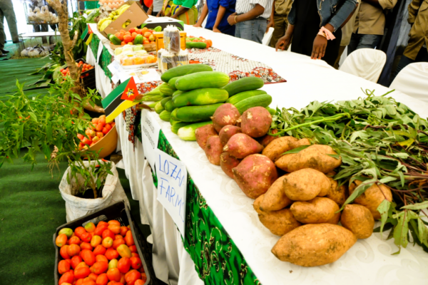 EM 2025: Comercializadas cerca de 23 milhões de toneladas de produtos agrícolas