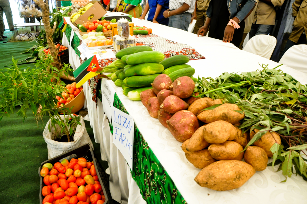 EM 2025: Comercializadas cerca de 23 milhões de toneladas de produtos agrícolas