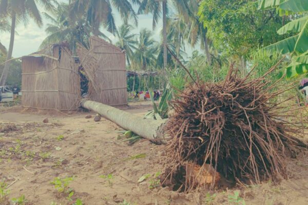 GEZANI: Número de afectados em Inhambane dispara de 500 para 2.700