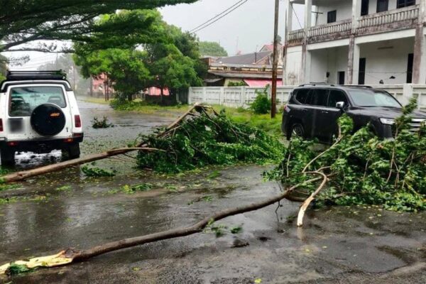 “GEZANI” deixa rasto de destruição em Madagáscar