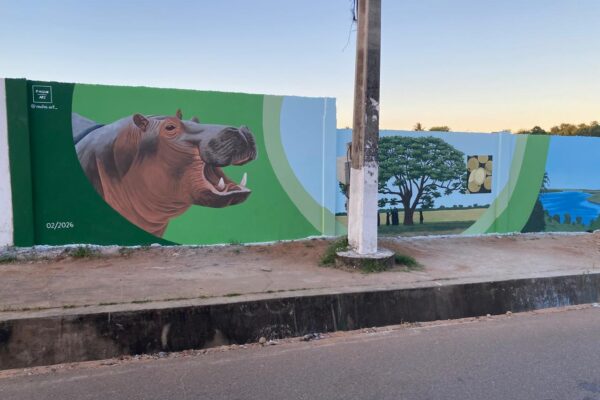 Inaugurado primeiro mural ambiental em Marracuene‎