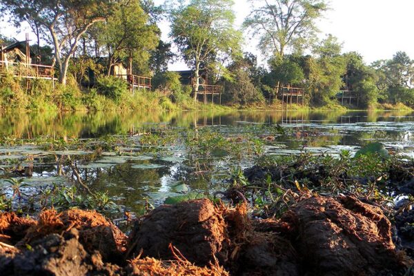 Inundações paralisam turismo no Parque Nacional do Limpopo, em Gaza