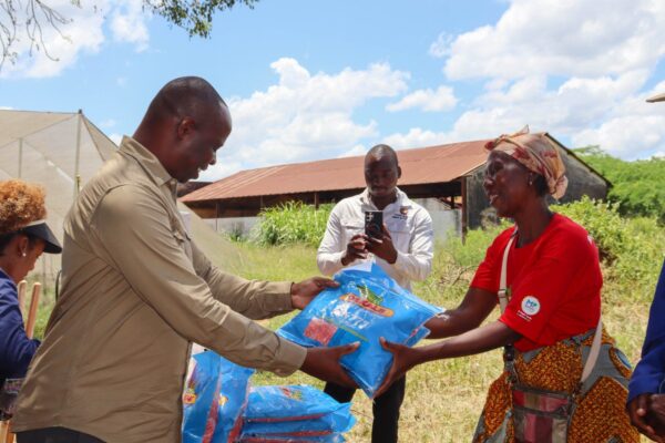 Maputo Província: Arranca distribuição de sementes para agricultores que perderam culturas