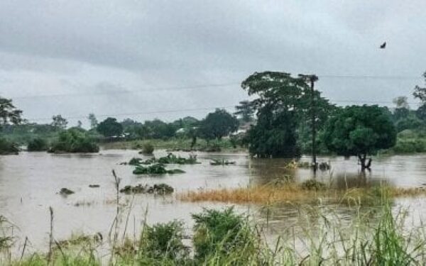 Comunidades de Morrumbala e Mutarara em risco de cheias após descargas no Malawi