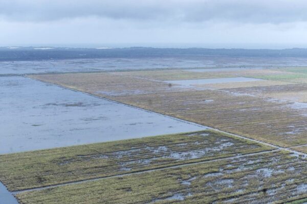 DEVIDO ÀS CHEIAS E INUNDAÇÕES: Retoma da “Maragra” adiada por dois anos 
