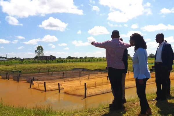Investidos USD 120 milhões em projectos de aquacultura