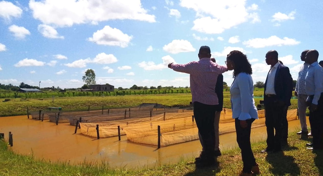 Investidos USD 120 milhões em projectos de aquacultura