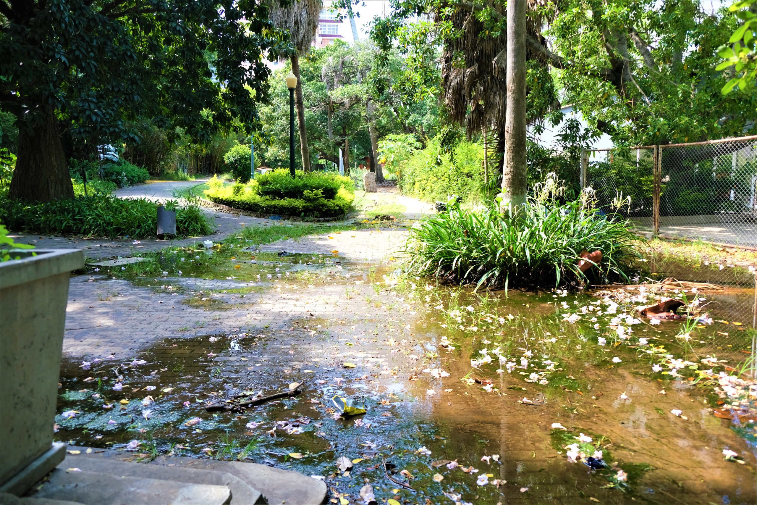 Jardim Tunduru: o pulmão está sufocado