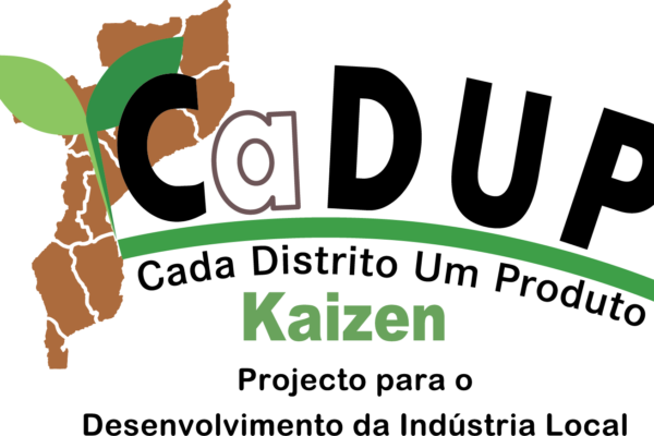Mais de mil empresas nacionais beneficiam do projecto CaDUP Kaizen desde 2022