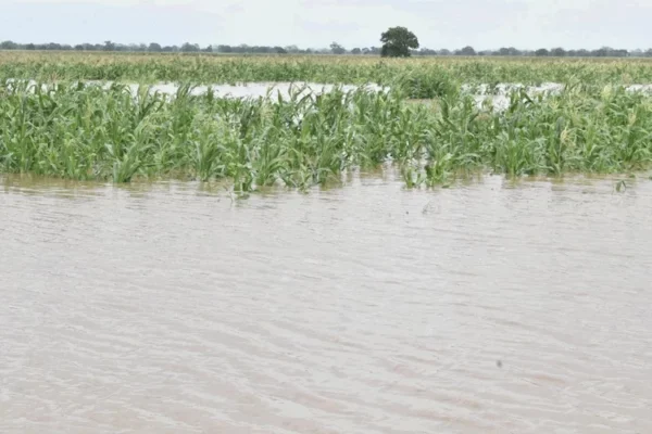 Transbordo do Rio Zambeze inunda milhares de hectares em Chemba