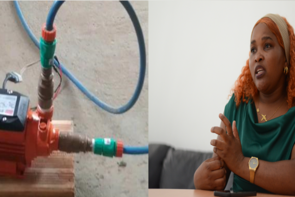 BEATRIZ ZAVALE:  Criou electrobomba para facilitar irrigação de machambas