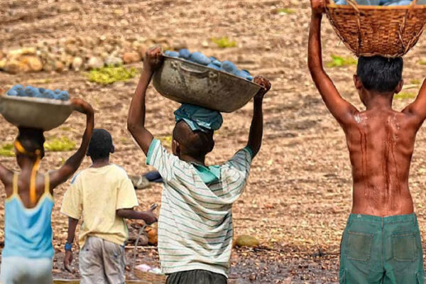 Combate à exploração: Nampula Resgata 34 Crianças do Trabalho Infantil no Primeiro Trimestre