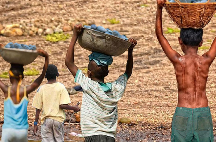 Combate à exploração: Nampula Resgata 34 Crianças do Trabalho Infantil no Primeiro Trimestre