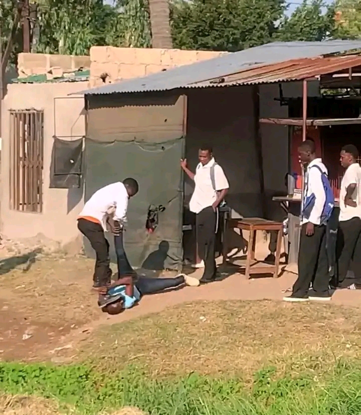 NA ESCOLA SECUNDÁRIA DA LIBERDADE: Destacada equipa para aferir briga entre aluno e  professor