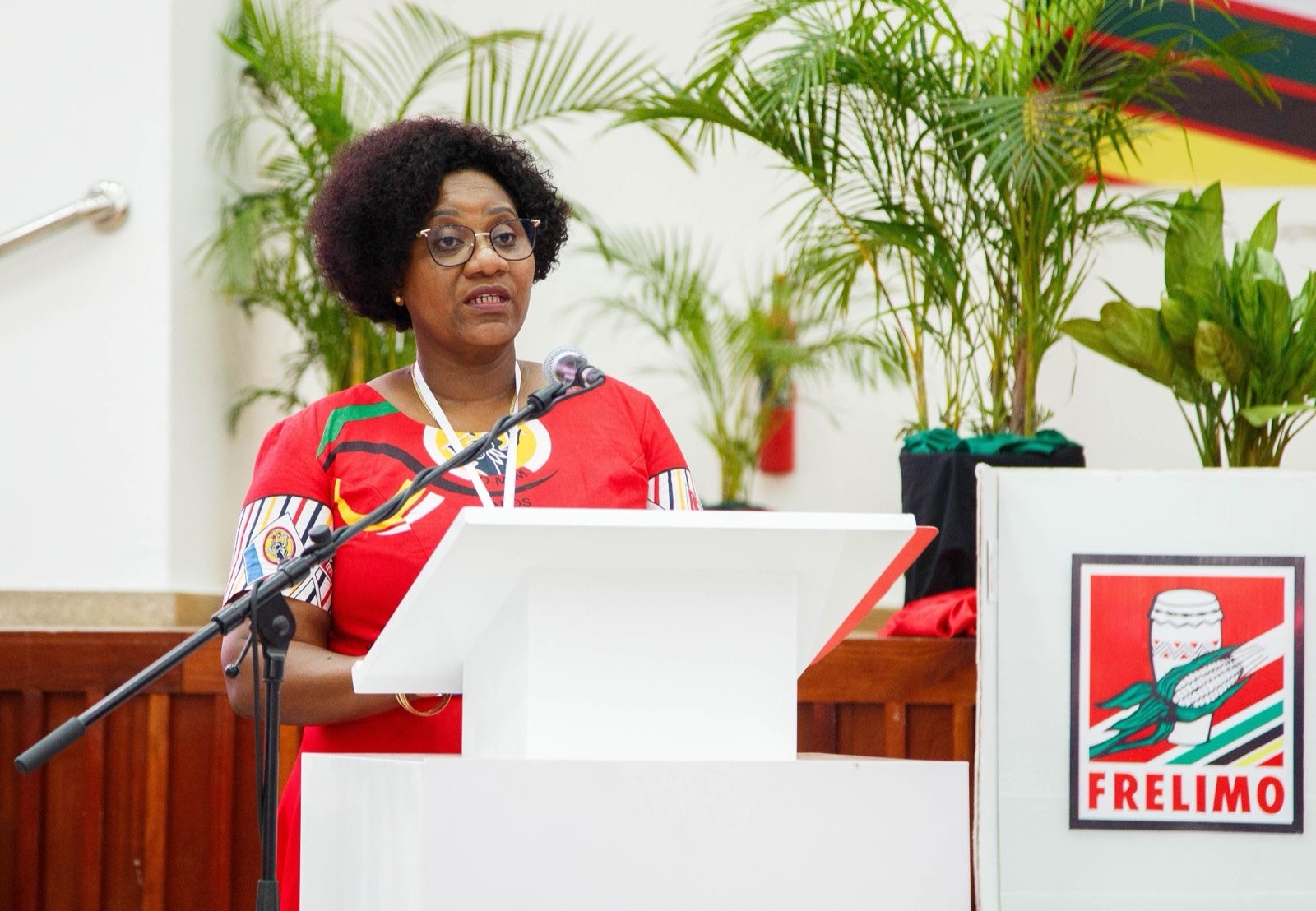 Organizações sociais da Frelimo reiteram compromisso com a Paz e Unidade Nacional