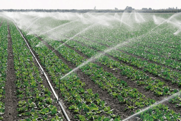 PR defende investimento em tecnologias agrárias