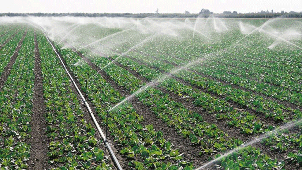 PR defende investimento em tecnologias agrárias