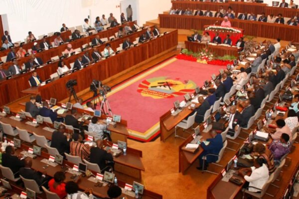 Simplified legislative procedure and its implications for democracy
