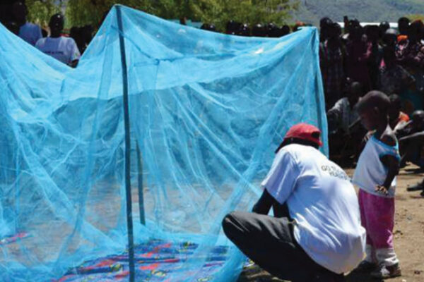 Sofala reforça combate à malária com campanha de redes mosquiteiras