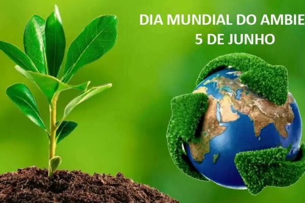 Cerca de 20 milhões de pessoas nas zonas costeiras enfrentam desastres naturais anuais em Moçambique