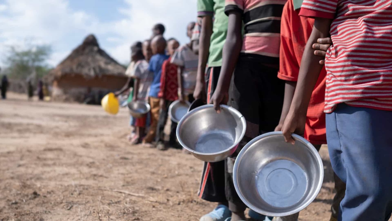 Gaza avalia situação da segurança alimentar em cinco distritos da província