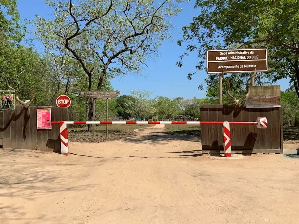 Governo mobiliza cerca de dois mil milhões para conservação da biodiversidade no Parque Nacional de Gilé