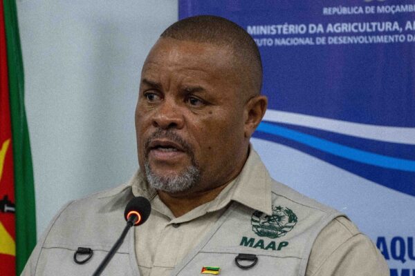 Governo realiza missão exploratória em Sofala no âmbito do MozAgriBiz