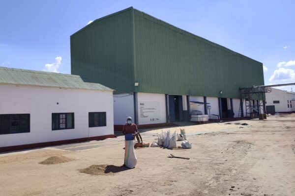 Mais empreendimentos de agroprocessamento para Cuamba
