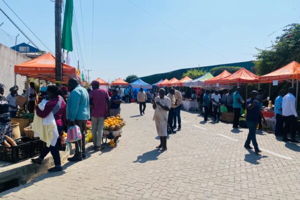 Mais de 150 expositores participam hoje na Feira de Tete