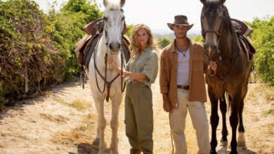Canal dedicado a novelas conquista novo público