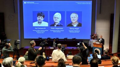 Nobel da Medicina repartido por três cientistas - Jornal Domingo